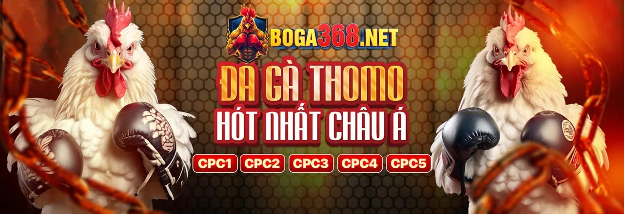 Hình ảnh đối tác bk8plus đăng nhập