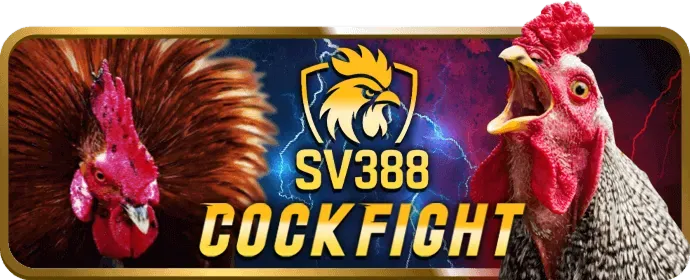 Ưu đãi chào mừng thành viên mới bk8plus
