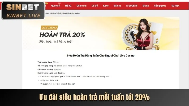 Hoàn trả hàng ngày casino trực tuyến